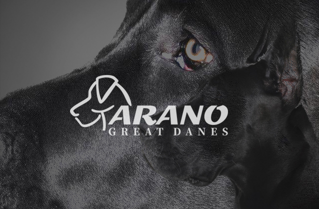 Breeder of great dane, Great dane dog logo